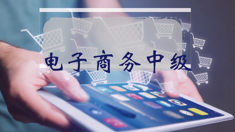 Shopify多语言站点SEO优化全攻略：提升国际流量，打造全球化电商